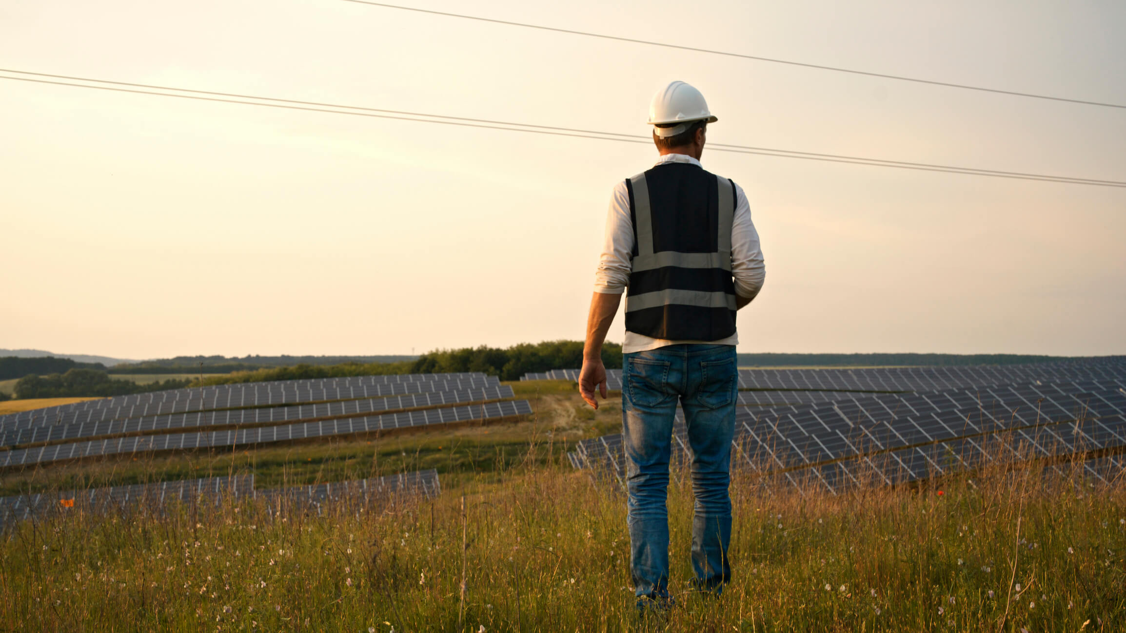 A male solar engineer standing in a field of solar panels